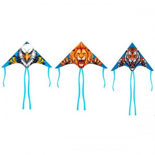 Повітряний змій, MR 1596