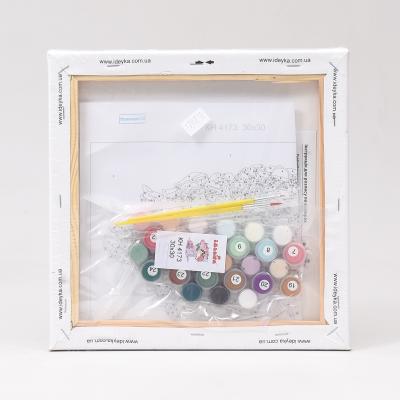 Набор для росписи по номерам "Подарок с изюминкой", 30х30 см, ID-KHO4173