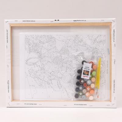 Набор для росписи по номерам "Оранжевое наслаждение", 40х50 см, ID-KHO5545