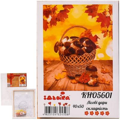 Набор для росписи по номерам "Лесные дары", 40х50 см, ID-KHO5601