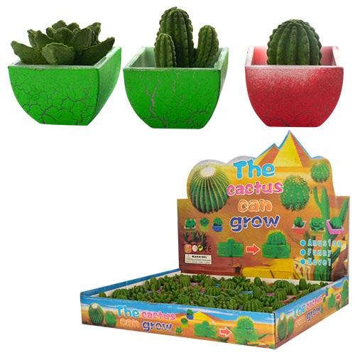 Растущий цветок, микс видов, в дисплее, E12609