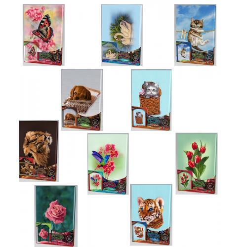 Вышивка по номерам, гладью, микс видов, в кор-ке, ПР11625