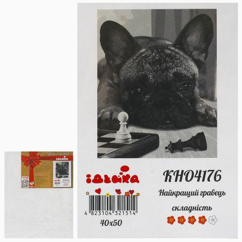 Набор для росписи по номерам "Лучший игрок", 40х50 см, ID-KHO4176 Набор для росписи по номерам "Лучший игрок", 40х50 см, ID-KHO4176