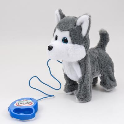 Собака Хаски, на бат-ке, в кор-ке, M 4431 I UA