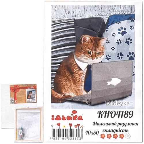 Набор для росписи по номерам "Маленький умник", 40х50 см, ID-KHO4189