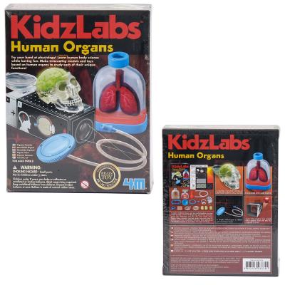 Детская лаборатория. человеческие органы, ID-00-03374