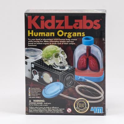 Детская лаборатория. человеческие органы, ID-00-03374