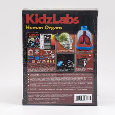 Детская лаборатория. человеческие органы, ID-00-03374