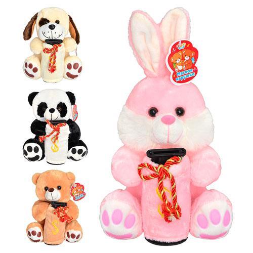 Скарбничка, 4 види, в пакеті, MP 0602 Скарбничка, 4 види, в пакеті, MP 0602