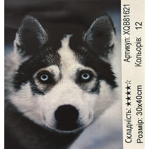 Набір для творчості "Алмазна картина", XQB81621