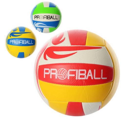 Мяч волейбольный, EN-3206