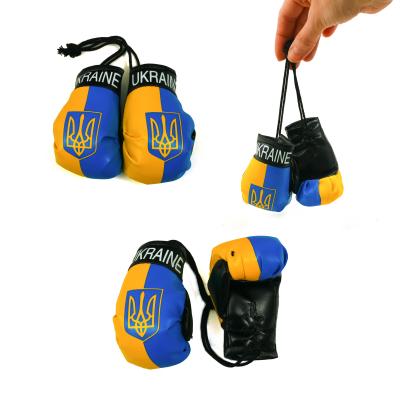 Боксерська рукавичка Україна
