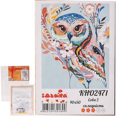 Набор для росписи по номерам "Сова", 40х50 см, ID-KHO2471 Набор для росписи по номерам "Сова", 40х50 см, ID-KHO2471