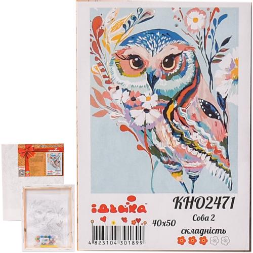 Набор для росписи по номерам "Сова", 40х50 см, ID-KHO2471