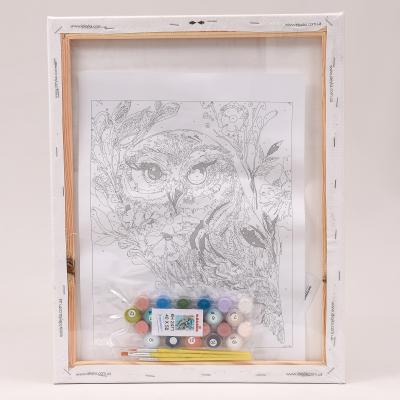 Набор для росписи по номерам "Сова", 40х50 см, ID-KHO2471