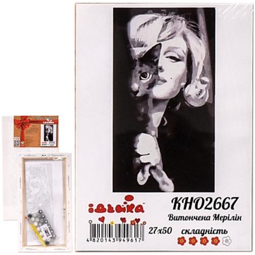 Набор для росписи по номерам "Изящная Мерлин", 27х50 см, ID-KHO2667