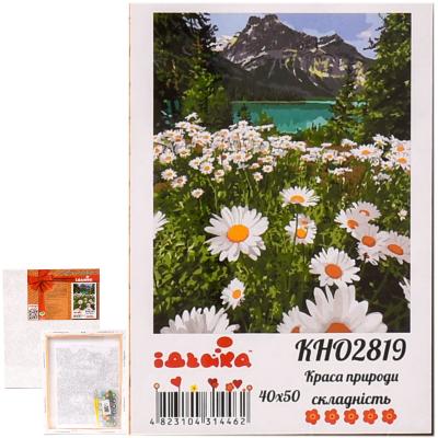 Набор для росписи по номерам "Красота природы", 40х50 см, ID-KHO2819