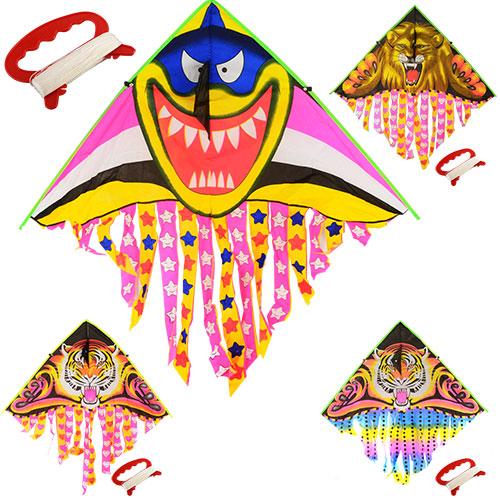 Воздушный змей, M 2894