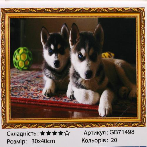 Набір для творчості "Алмазна мозаїка", GB71498