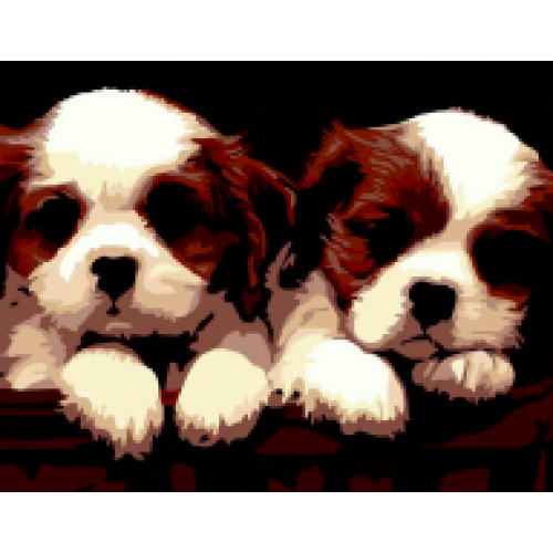 Набір для розпису за номерами "Близнюки", ZB 64242