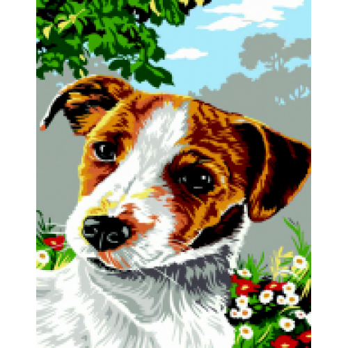 Набір для розпису за номерами "Джек Рассел", ZB 64243 Набір для розпису за номерами "Джек Рассел", ZB 64243