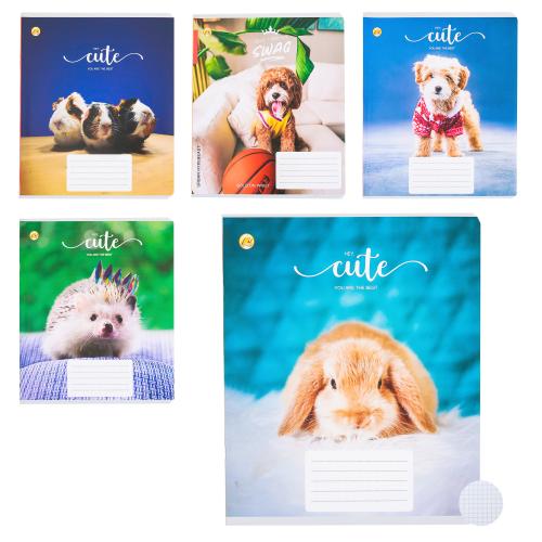 Зошит "Улюбленці", TE21101 Зошит "Улюбленці", TE21101