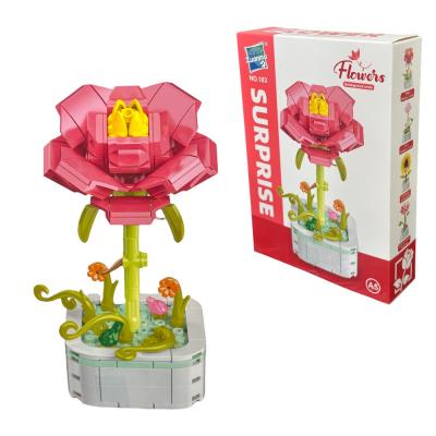 Конструктор SURPRISE Ранунклюс