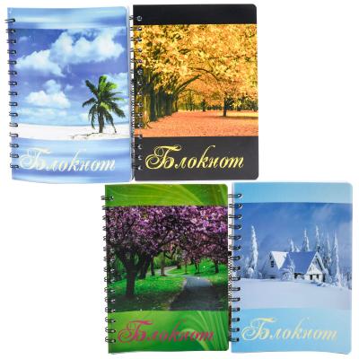Блокнот "Времена года", на пружине, А5, микс видов, в пакете (цена за штуку), SAT-A-058 Блокнот "Времена года", на пружине, А5, микс видов, в пакете (цена за штуку), SAT-A-058
