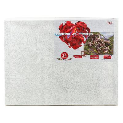 Набор для твор. PAINTING BY NUMBERS30 *40см /10 ДТ, ДТ-ОО-09277