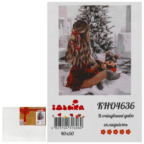 Набор для росписи по номерам "В ожидании чуда", 40х50 см, ID-KHO4636