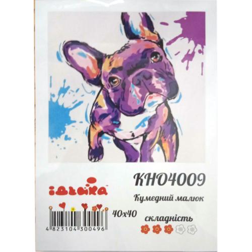 Набор для росписи по номерам "Забавный малыш", 40х40 см, ID-KHO4009