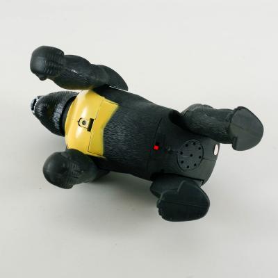 Горила, в кор-ці, 6611