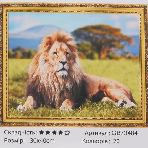 Набір для творчості "Алмазна мозаїка", GB73484