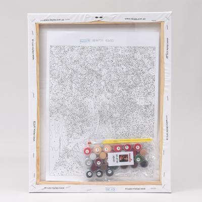 Набор для росписи по номерам "Навстречу сказке", 40х50 см, ID-KHO4736