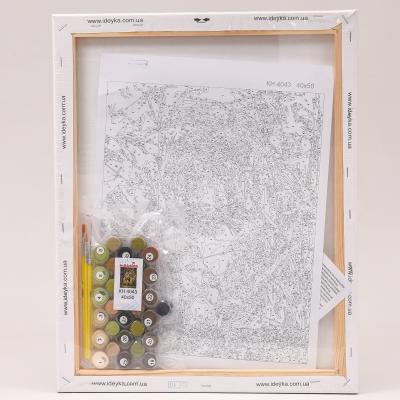 Набор для росписи по номерам "Король джунглей", 40х50 см, ID-KHO4043