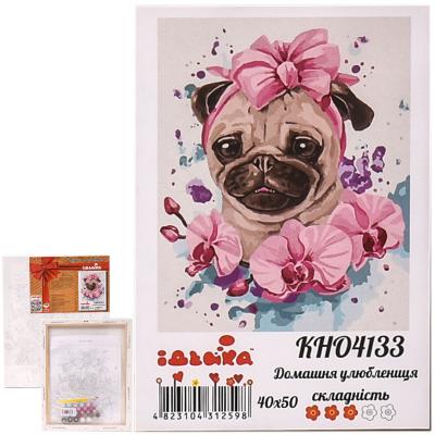 Набор для росписи по номерам "Домашняя любимица", 40х50 см, ID-KHO4133