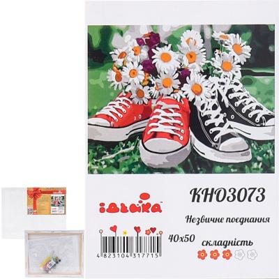 Набор для росписи по номерам "Необычное сочетание", 40х50 см, ID-KHO3073