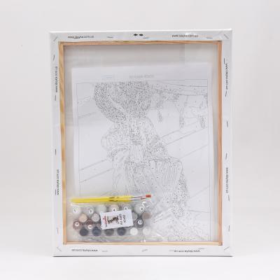 Набор для росписи по номерам "Волшебная незнакомка", 40х50 см, ID-KHO4569