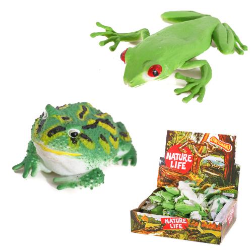 Жаба, 2 види, в дисплеї, A156-DB